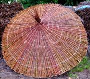 Parasol Bimet