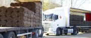 Transport Internacional