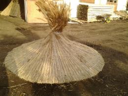 Parasols de Canya de Riu